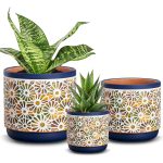 3 Piece Ceramic Plant Pots, 5.7/4.7/3.5/inch Planters with Drainage Hole, Outdoor Indoor Flower Pots Set, Modern Decorative Plant Pots for Lilies, Cacti, Succulents, Snakes,...