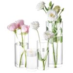 4 Pack Glass Cylinder Vases 4,6,8,10 Inch Tall Clear Flower Vase Hurricane Floating Candle Holder for Table Centerpiece Wedding Home Decor