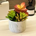 Artificial Plants 3 Cute Colourful Succulents in Ceramic Planter Fake Plant Flowers Potted for Home Living Room Office Desk Decor,Bathroom,Bedroom,Shelves,Indoor Decoration