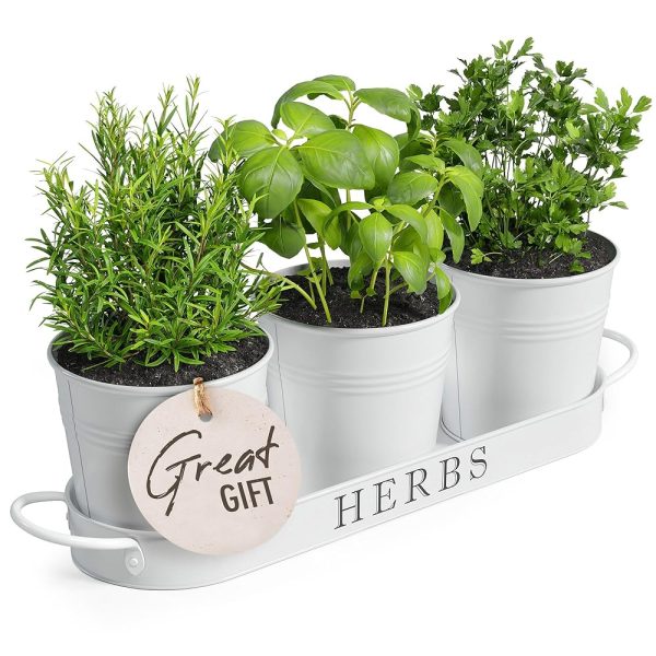 Barnyard Designs Indoor Herb Garden Planter Set with Tray, Metal Windowsill Plant Pots with Drainage for Outdoor or Indoor Plants, Set/3 (White)