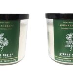 Bath and Body Works Aromatherapy 3 Wick Candle, 14.5 Oz, Eucalyptus Spearmint (2 Pack)