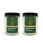 Bath & Body Works Stress Relief Aromatherapy Scented Candles | Eucalyptus Spearmint Scent | | Soy Based Wax | dfrDhp | NaturalEssential Oils | 2 Pack | 7 Oz Each