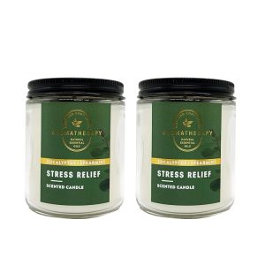 Bath & Body Works Stress Relief Aromatherapy Scented Candles | Eucalyptus Spearmint Scent | | Soy Based Wax | dfrDhp | NaturalEssential Oils | 2 Pack | 7 Oz Each