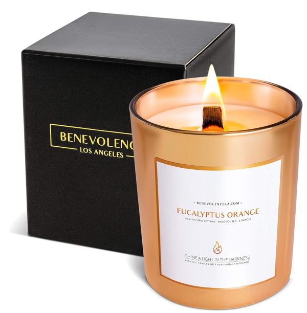 Benevolence Candles Eucalyptus Orange Wood Wick Candles, Summer Scented Candles for Women | 8 Oz Scented Candles for Home Scented | Eucalyptus Candles | Natural Candles | Men...