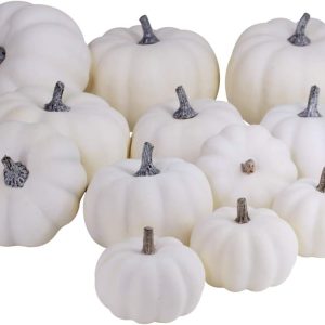 BESTTOYHOME 12 PCS Assorted Sizes Rustic Harvest White Artificial Pumpkins for Halloween, Fall Thanksgiving Decorating Harvest Embellishing and Displaying