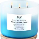 Citrus Patchouli Forest 3-Wick Candle | Relaxing Scented Citrus, Patchouli, Eucalyptus, Rosemary, Cedarwood Winter & Fall Candle | Natural Soy Candle for Home 15.8 oz |...