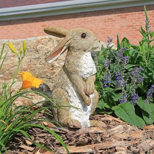 Design Toscano QM200681 Hopper The Bunny Standing Rabbit Outdoor Garden Statue, 6 Inches Wide, 6 Inches Deep, 11 Inches High, Full Color Finish