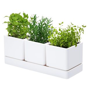 D'vine Dev Herb Garden Planter Set, Plastic Plant Pots with Drainage and Saucer, Indoor Succulent Cactus Vegetable Pot for Windowsill, Garden Balcony, White, Set of 1, 76-V-A-1