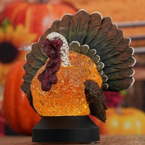 Fall Snow Globe, Battery & USB Operated Fall Decorations for Home, LED Lighted Turkey Shape Snow Globe Lantern for Thanksgiving Fall Autumn Harvest Tabletop Decorations