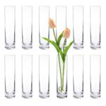 Glass Cylinder Bud Vases for Centerpieces, Set of 12 Clear Small vases,Handmade Slim Flower Vases Wedding Table Decor for single Rose vases bulk, home aesthetic desk decor,...