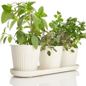 KIBAGA Beautiful Herb Garden Planter Indoor Set of 3 - Perfect for Any Kitchen Window Sill or Countertop - A Modern Decor Gardening Planter Kit Incl. Tray & Drainage Holes to...