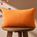 MIULEE Fall Orange Throw Pillow Insert Premium Pillow Stuffer Sham Rectangle for Decorative Cushion Bed Couch Sofa 12x20 Inch