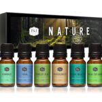 P&J Trading Nature Set of 6 Premium Grade Fragrance Oils - Forest Pine, Ocean Breeze, Rain, Fresh Cut Grass, Sandalwood, Bamboo - 10ml