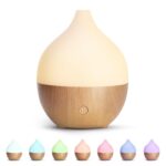 SALKING Essential Oil Diffuser, 100ml Small Aromatherapy Diffuser with Auto Shut-Off Function, Ultrasonic Diffusers for Essential Oils, Cool Mist Humidifier with Warm White...