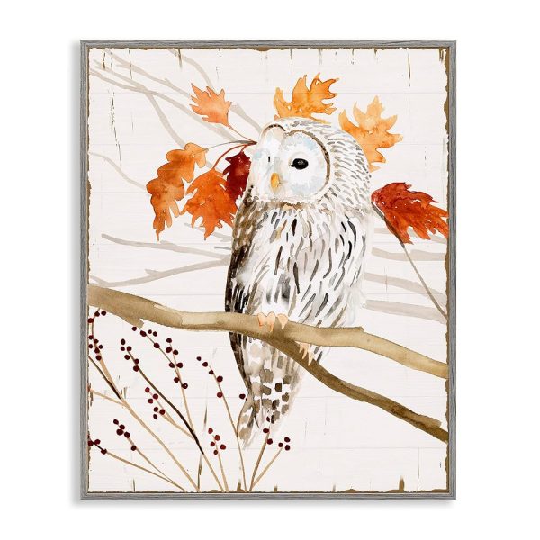 Stupell Industries Owl in Fall Forest Animal Watercolor Painting Grey Framed Wall Art, 11x14, Design by Artist Victoria Borges