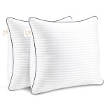 Throw Pillows Insert, 18'' x 18'' Set of 2, Decorative for Couch, Sofa or Bed with Premium Down Alternative Filled, White