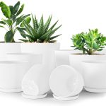 Utopia Home - Plant Pots Indoor with Drainage - 7/6.6/6/5.3/4.8 Inches Home Decor Flower Pots for Indoor Planter - Plastic Planters for Indoor Plants, Cactus, Succulents Pot...