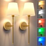 Wall Lights Battery Operated Wall Sconces Set of 2,Gold Wireless Wall Sconces with Remote,9 Colors Modes Rechargeable Wall lamp for Bedroom Living Room