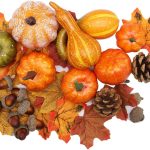 winemana 50pcs Fall Pumpkins Decor Set, Mini Artificial Gourd Fall Leaves Acorns Decorations for Home, Fall Centerpieces for Tables, Thanksgiving Vase Filler, Harvest Farmhouse...