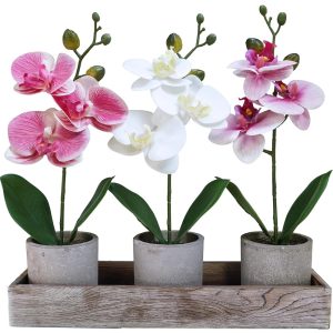 Winlyn Set of 3 Small Artificial Orchid Potted Plants Arrangement with Rustic Wood Planter Box Real Touch Faux Phalaenopsis Moth Orchid Flowers in Pots for Home Office Desk...